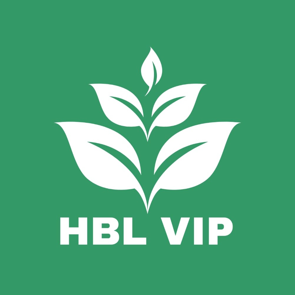 Logo HBL